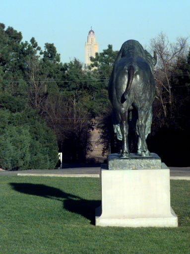 Pioneers Park bison